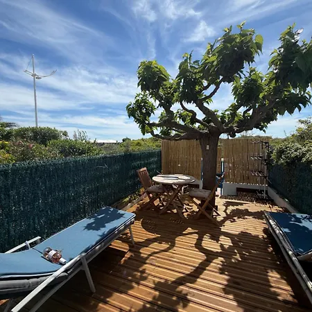 L'esprit - Cocon Bambou Chic - 50m *